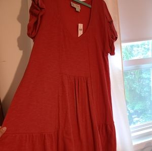 Anthropologie Tunic Ruffle Dress